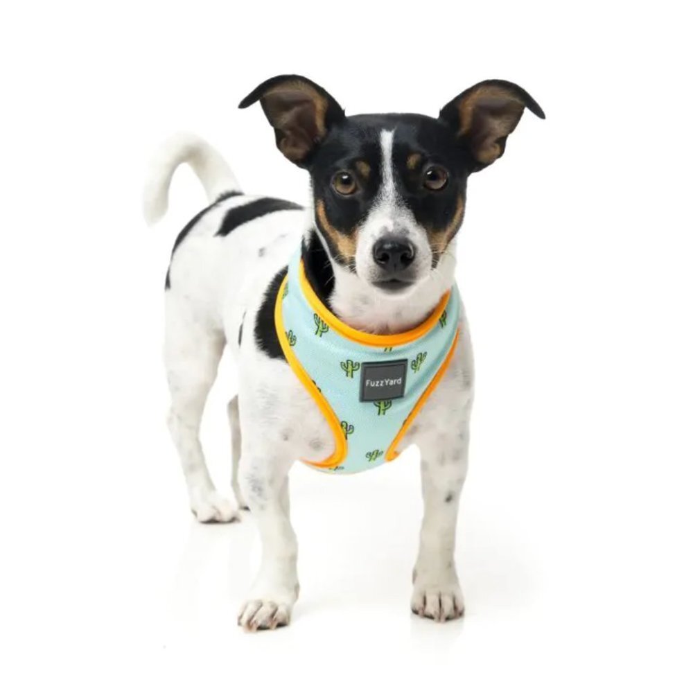 NWOT FuzzYard Dog Harness Cactus Theme with Secure D-ring | Lightweight XL - Picture 11 of 12